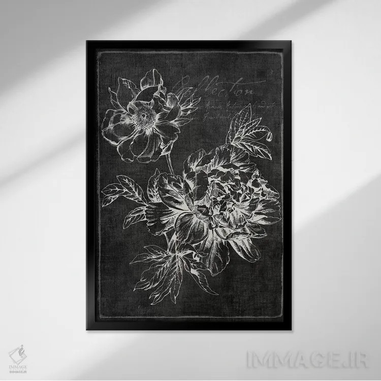 تابلو مدرن "گیاه شناسی سیاه I" اثر پی آی گالری - نمای قابدار مشکی