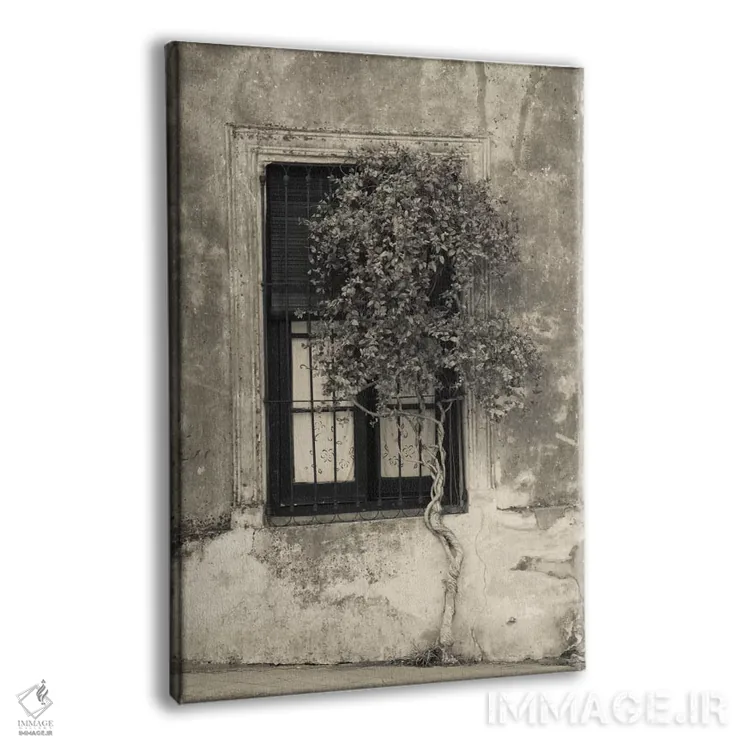تابلو دکوراتیو Calle San Jose, Colonia Del Sacramento, Uruguay" - "درخ… اثر پانورامیک ایمجز - نمای پرسپکتیو محصول