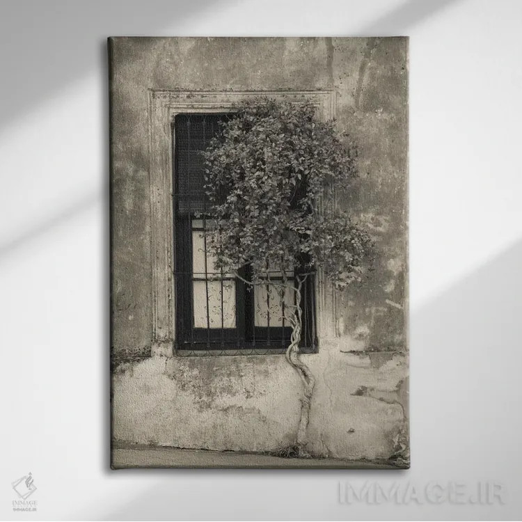 تابلو دکوراتیو Calle San Jose, Colonia Del Sacramento, Uruguay" - "درخ… اثر پانورامیک ایمجز - نمای روبهرو روی دیوار