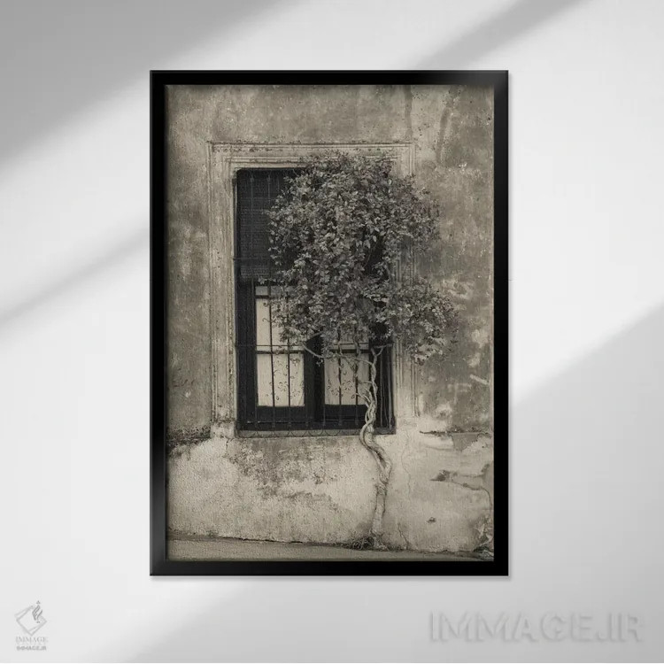 تابلو دکوراتیو Calle San Jose, Colonia Del Sacramento, Uruguay" - "درخ… اثر پانورامیک ایمجز - نمای قابدار مشکی