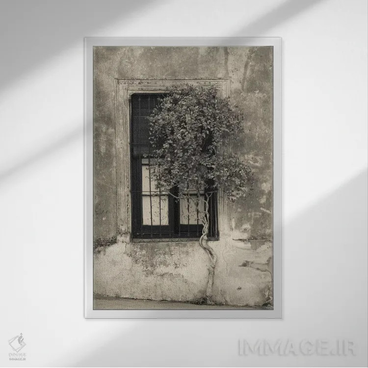 تابلو دکوراتیو Calle San Jose, Colonia Del Sacramento, Uruguay" - "درخ… اثر پانورامیک ایمجز - نمای قابدار سفید