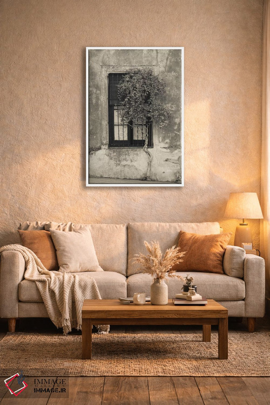 تابلو دکوراتیو Calle San Jose, Colonia Del Sacramento, Uruguay" - "درخ… اثر پانورامیک ایمجز - D4W