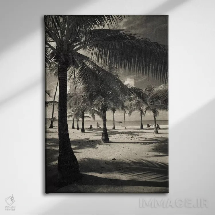 تابلو دکوراتیو Playa Luquillo Beach, Luquillo, Puerto Rico" - "درختان… اثر پانورامیک ایمجز - نمای روبهرو روی دیوار