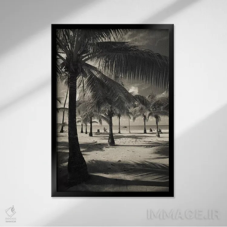تابلو دکوراتیو Playa Luquillo Beach, Luquillo, Puerto Rico" - "درختان… اثر پانورامیک ایمجز - نمای قابدار مشکی
