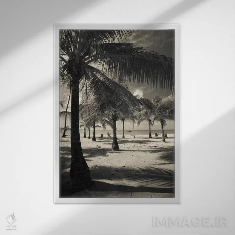 تابلو دکوراتیو Playa Luquillo Beach, Luquillo, Puerto Rico" - "درختان… اثر پانورامیک ایمجز - نمای قابدار سفید