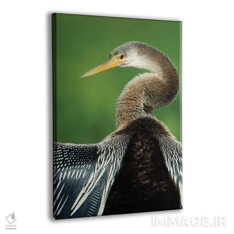 تابلو دکوراتیو Pantanal Conservation Area, Brazil" - "آنینگا I، منطقه… اثر پانورامیک ایمجز - نمای پرسپکتیو محصول