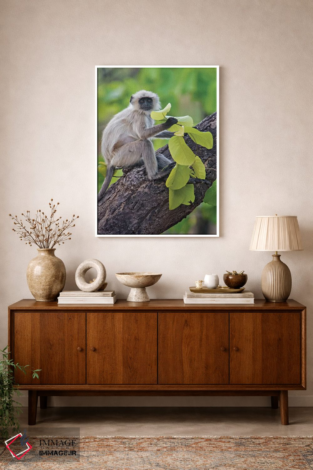 تابلو دکوراتیو Kanha National Park, Madhya Pradesh, India" - "میمون لن… اثر پانورامیک ایمجز - D1W