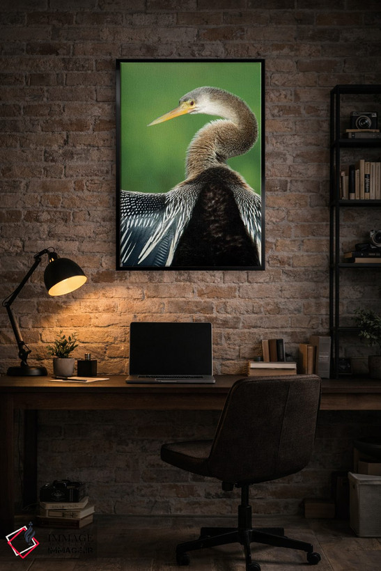 تابلو دکوراتیو Pantanal Conservation Area, Brazil" - "آنینگا I، منطقه… اثر پانورامیک ایمجز - D4B