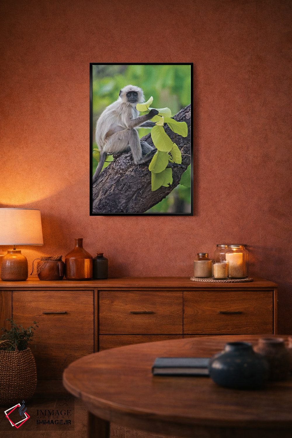 تابلو دکوراتیو Kanha National Park, Madhya Pradesh, India" - "میمون لن… اثر پانورامیک ایمجز - D5B