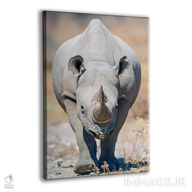 تابلو دکوراتیو Etosha National Park, Namibia" - "کرگدن سیاه II، پارک م… اثر پانورامیک ایمجز - نمای پرسپکتیو محصول