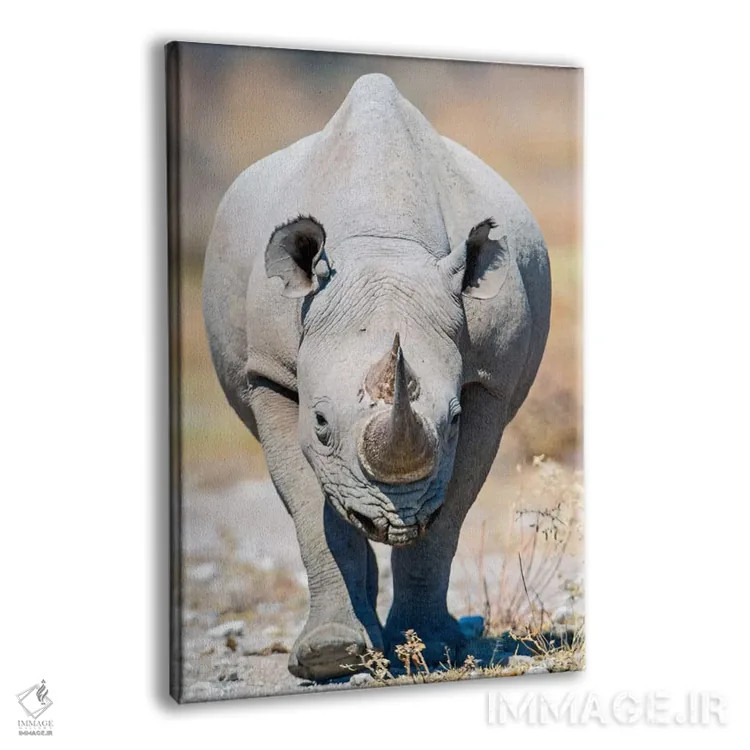تابلو دکوراتیو Etosha National Park, Namibia" - "کرگدن سیاه II، پارک م… اثر پانورامیک ایمجز - نمای پرسپکتیو محصول