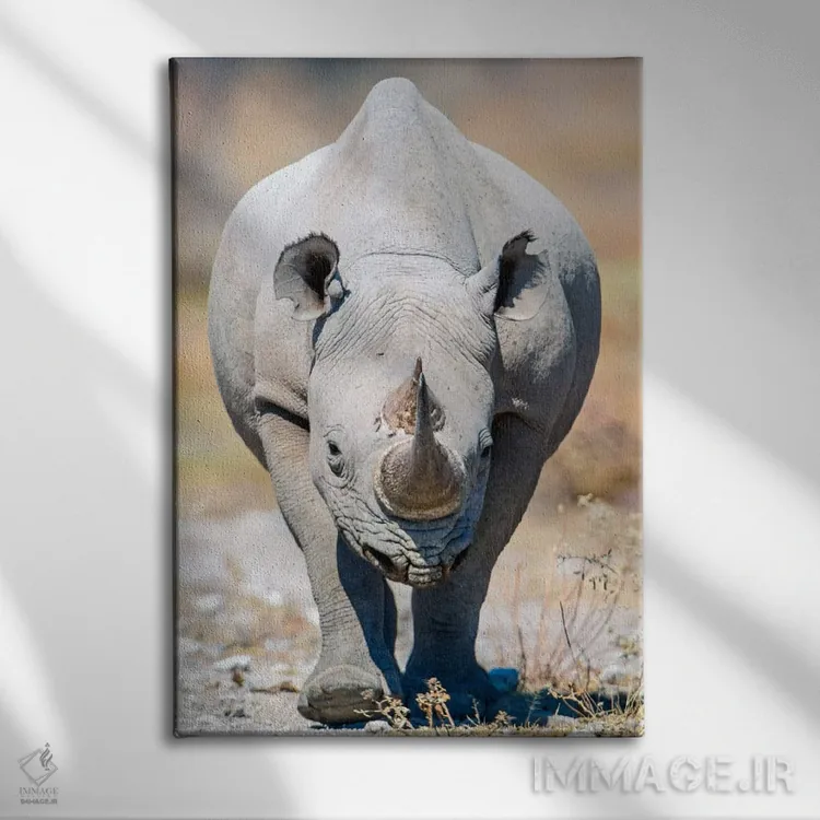 تابلو دکوراتیو Etosha National Park, Namibia" - "کرگدن سیاه II، پارک م… اثر پانورامیک ایمجز - نمای روبهرو روی دیوار