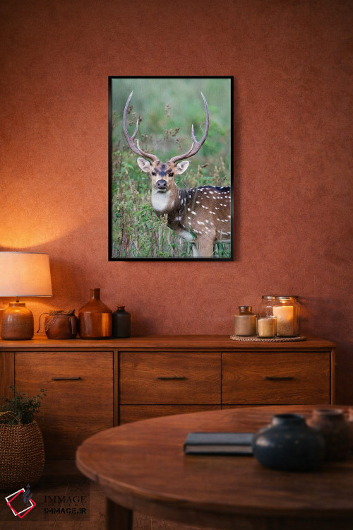 تابلو دکوراتیو Kanha National Park, Madhya Pradesh, India" - "گوزن لک… اثر پانورامیک ایمجز - D5B