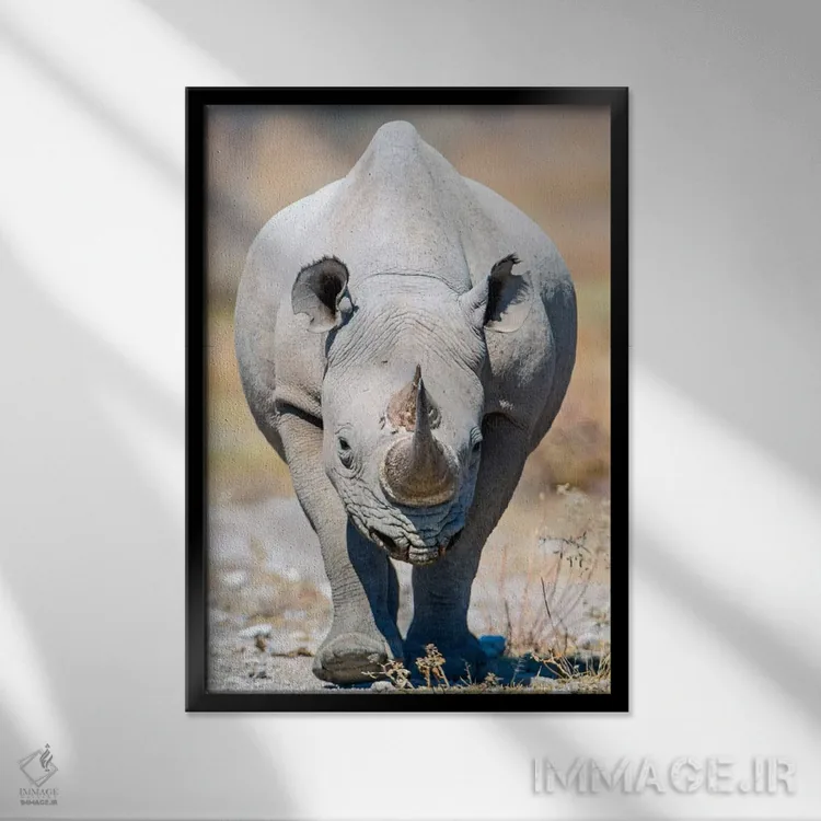 تابلو دکوراتیو Etosha National Park, Namibia" - "کرگدن سیاه II، پارک م… اثر پانورامیک ایمجز - نمای قابدار مشکی