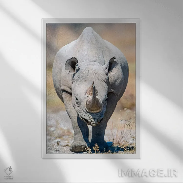 تابلو دکوراتیو Etosha National Park, Namibia" - "کرگدن سیاه II، پارک م… اثر پانورامیک ایمجز - نمای قابدار سفید