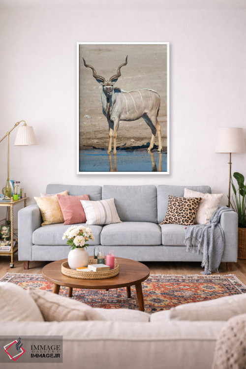 تابلو دکوراتیو Etosha National Park, Namibia" - "کودوی بزرگ در حوضچه آ… اثر پانورامیک ایمجز - D1W