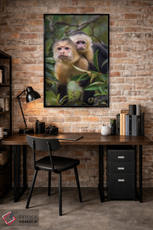 تابلو دکوراتیو Tortuguero, Limon Province, Costa Rica" - "میمون های کا… اثر پانورامیک ایمجز - D3B