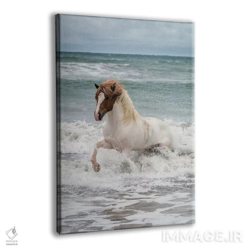 تابلو دکوراتیو Longufjorur Beach, Snaefellsnes Peninsula, Vesturland… اثر پانورامیک ایمجز - نمای پرسپکتیو محصول