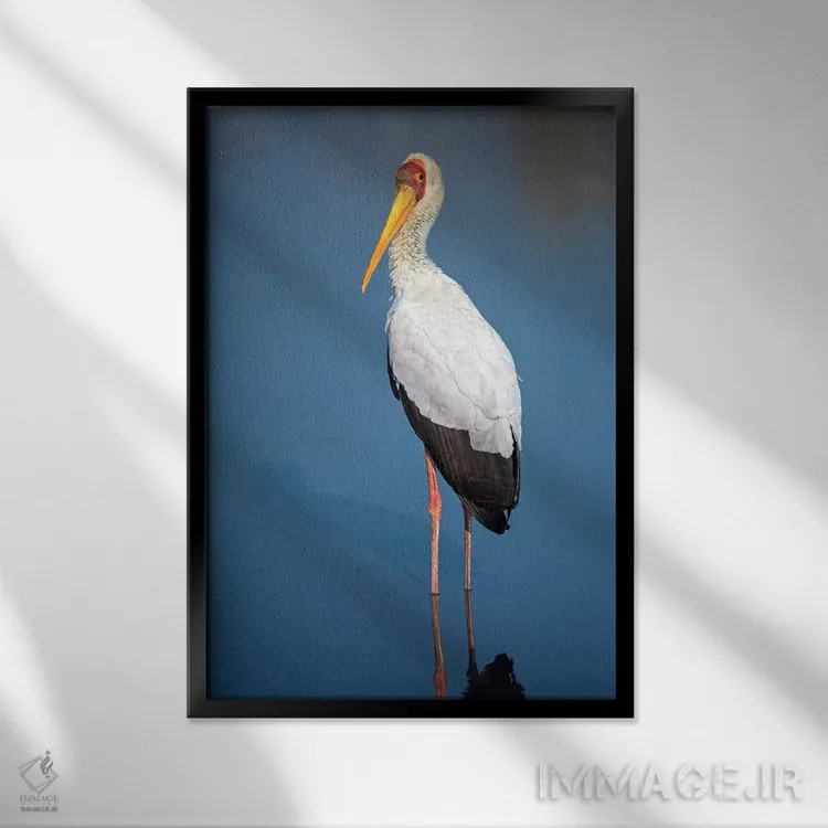 تابلو دکوراتیو Lake Manyara, Lake Manyara National Park, Tanzania" - "… اثر پانورامیک ایمجز - نمای قابدار مشکی