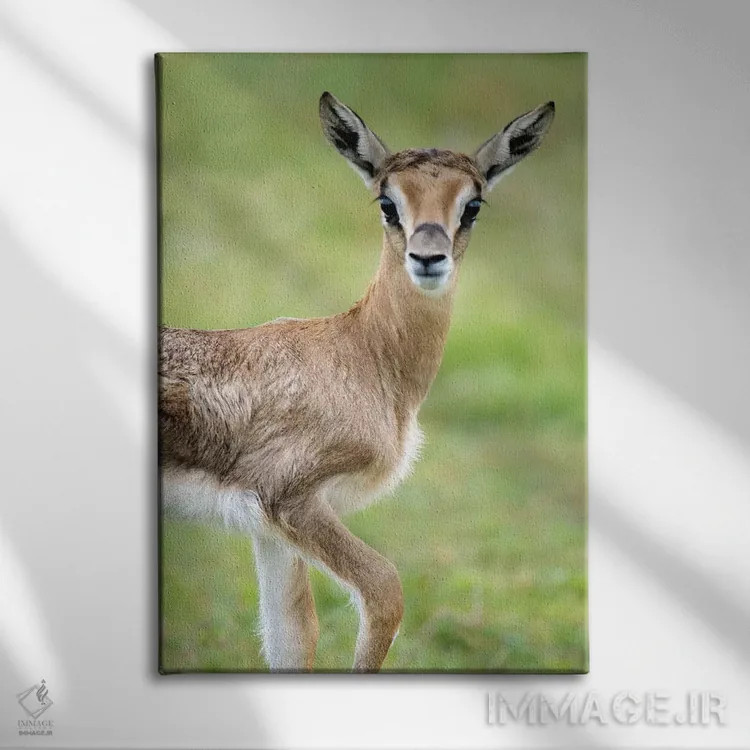 تابلو دکوراتیو Lake Manyara, Lake Manyara National Park, Tanzania" - "… اثر پانورامیک ایمجز - نمای روبهرو روی دیوار