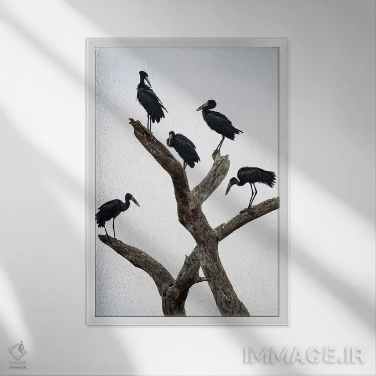 تابلو دکوراتیو Tarangire National Park, Manyara Region, Tanzania" - "ل… اثر پانورامیک ایمجز - نمای قابدار سفید