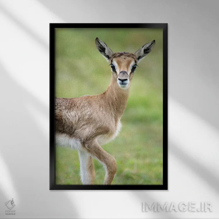 تابلو دکوراتیو Lake Manyara, Lake Manyara National Park, Tanzania" - "… اثر پانورامیک ایمجز - نمای قابدار مشکی
