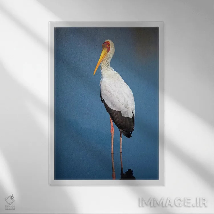 تابلو دکوراتیو Lake Manyara, Lake Manyara National Park, Tanzania" - "… اثر پانورامیک ایمجز - نمای قابدار سفید