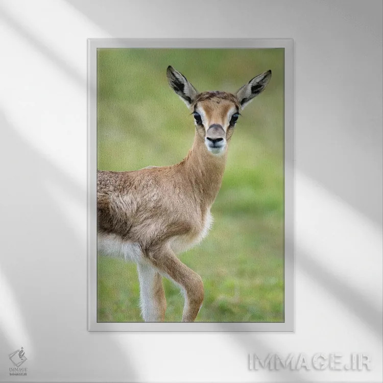 تابلو دکوراتیو Lake Manyara, Lake Manyara National Park, Tanzania" - "… اثر پانورامیک ایمجز - نمای قابدار سفید
