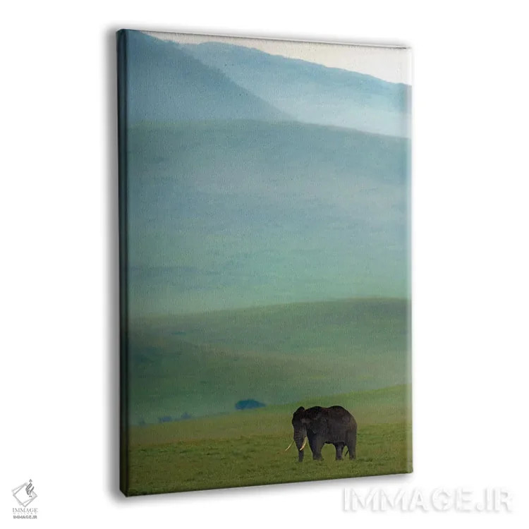تابلو دکوراتیو Ngorongoro Conservation Area, Crater Highlands, Arusha… اثر پانورامیک ایمجز - نمای پرسپکتیو محصول