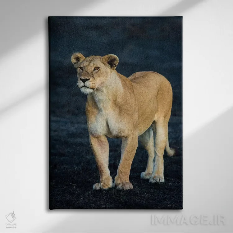 تابلو دکوراتیو Serengeti National Park, Tanzania" - "شیر ماده آفریقایی… اثر پانورامیک ایمجز - نمای روبهرو روی دیوار