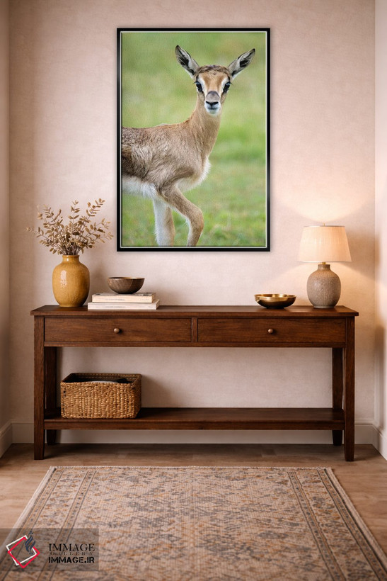 تابلو دکوراتیو Lake Manyara, Lake Manyara National Park, Tanzania" - "… اثر پانورامیک ایمجز - D4B