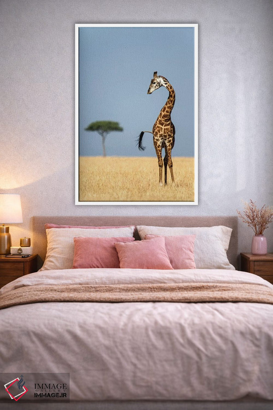 تابلو دکوراتیو Serengeti National Park, Tanzania" - "زرافه ماسایی، پار… اثر پانورامیک ایمجز - D2W