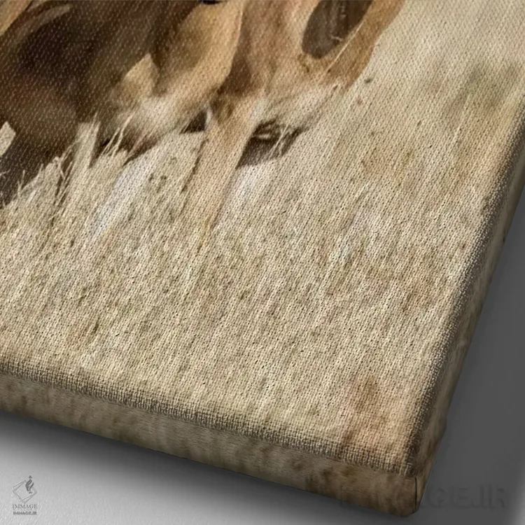 تابلو دکوراتیو Serengeti National Park, Tanzania" - "هارته بیس ها، پار… اثر پانورامیک ایمجز - نمای نزدیک بافت بوم