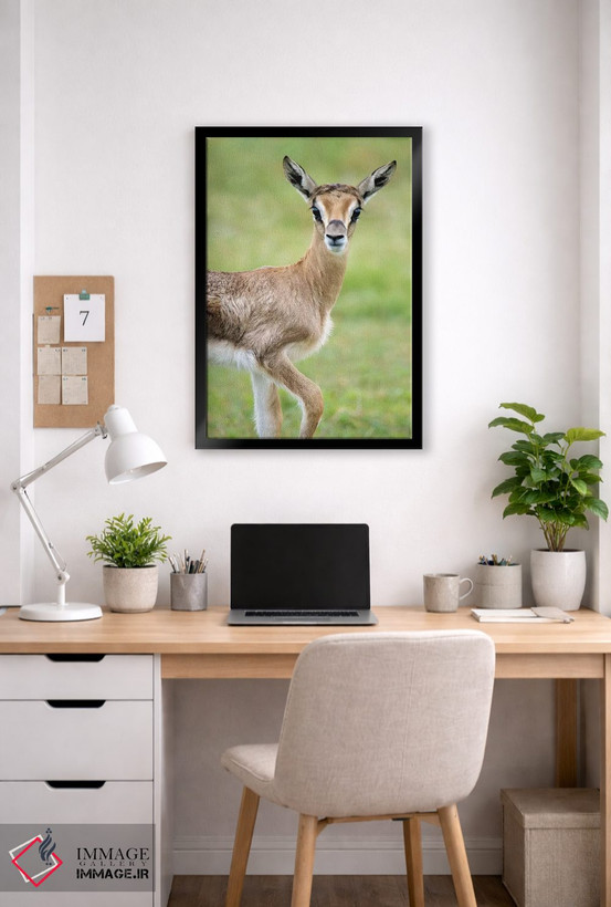 تابلو دکوراتیو Lake Manyara, Lake Manyara National Park, Tanzania" - "… اثر پانورامیک ایمجز - D5B