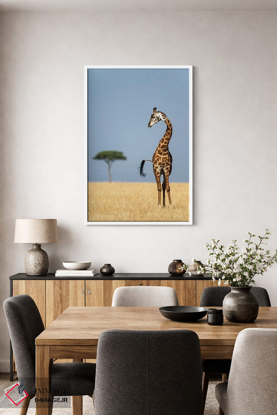 تابلو دکوراتیو Serengeti National Park, Tanzania" - "زرافه ماسایی، پار… اثر پانورامیک ایمجز - D4W