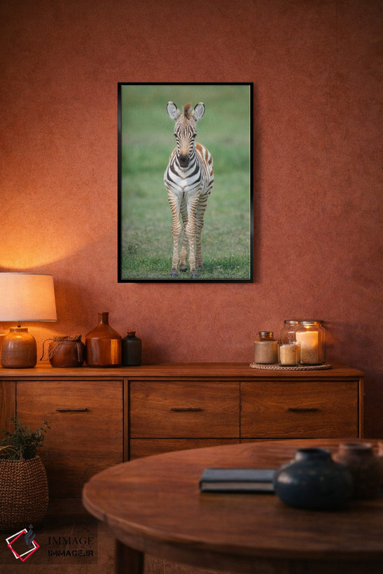 تابلو دکوراتیو Ngorongoro Conservation Area, Crater Highlands, Arusha… اثر پانورامیک ایمجز - D5B