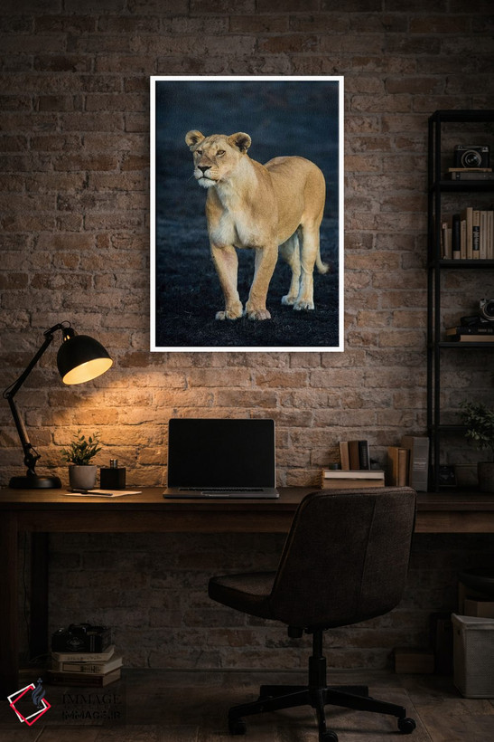 تابلو دکوراتیو Serengeti National Park, Tanzania" - "شیر ماده آفریقایی… اثر پانورامیک ایمجز - D3W