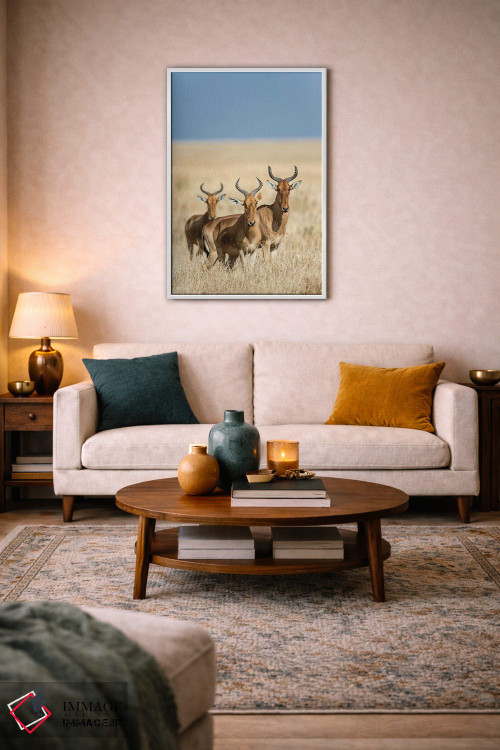 تابلو دکوراتیو Serengeti National Park, Tanzania" - "هارته بیس ها، پار… اثر پانورامیک ایمجز - D3W