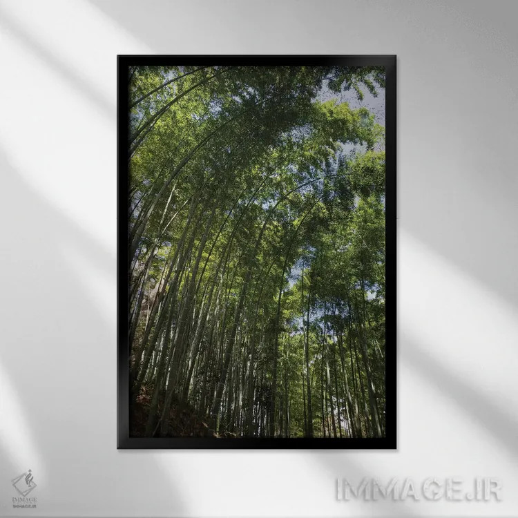 تابلو دکوراتیو Chuson-Ji, Hiraizumi, Iwate Prefecture, Japan" - "نمای… اثر پانورامیک ایمجز - نمای قابدار مشکی