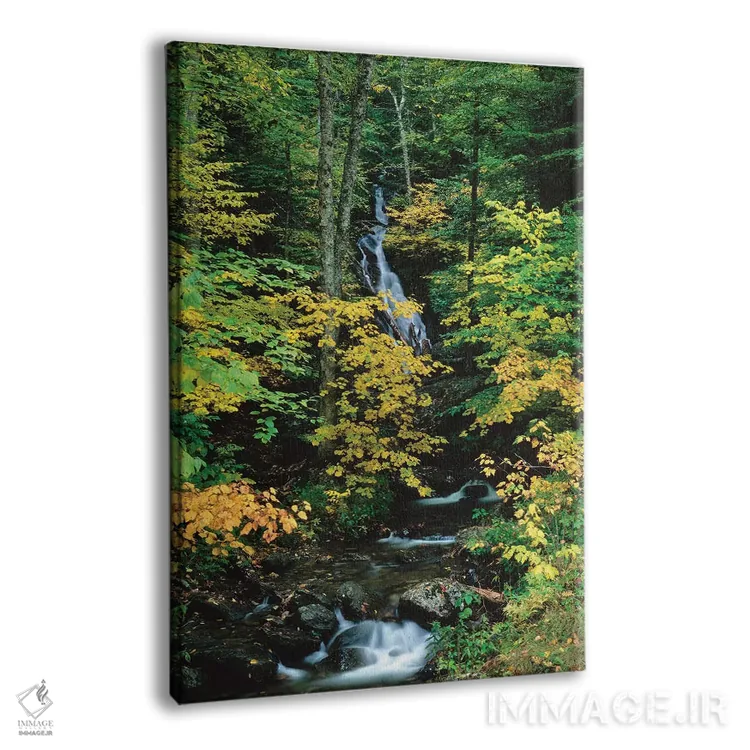 تابلو دکوراتیو Vermont Route 100, Granville Reservation State Park, Ve… اثر پانورامیک ایمجز - نمای پرسپکتیو محصول