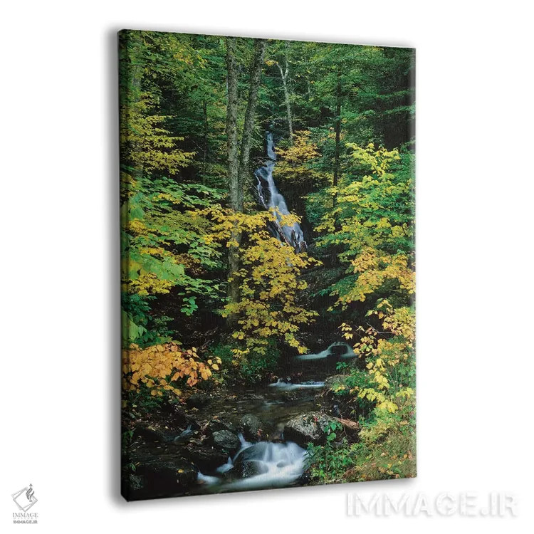 تابلو دکوراتیو Vermont Route 100, Granville Reservation State Park, Ve… اثر پانورامیک ایمجز - نمای پرسپکتیو محصول