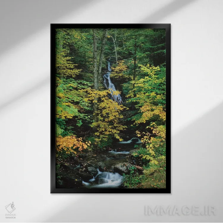تابلو دکوراتیو Vermont Route 100, Granville Reservation State Park, Ve… اثر پانورامیک ایمجز - نمای قابدار مشکی
