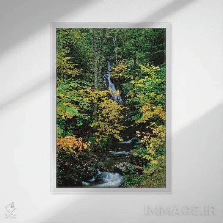 تابلو دکوراتیو Vermont Route 100, Granville Reservation State Park, Ve… اثر پانورامیک ایمجز - نمای قابدار سفید