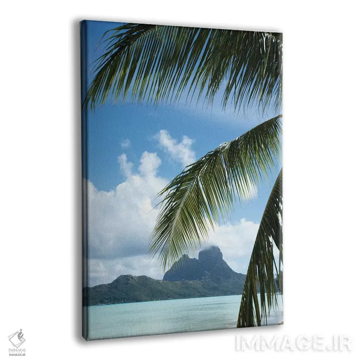 تابلو دکوراتیو Bora Bora, Society Islands, French Polynesia" - "درخت ن… اثر پانورامیک ایمجز - نمای پرسپکتیو محصول