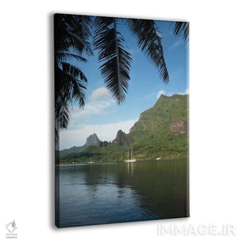 تابلو دکوراتیو Moorea, Tahiti, French Polynesia I" - "درخت نخل با قایق… اثر پانورامیک ایمجز - نمای پرسپکتیو محصول