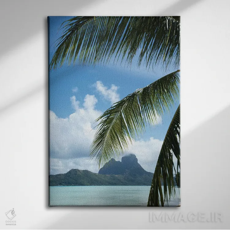 تابلو دکوراتیو Bora Bora, Society Islands, French Polynesia" - "درخت ن… اثر پانورامیک ایمجز - نمای روبهرو روی دیوار