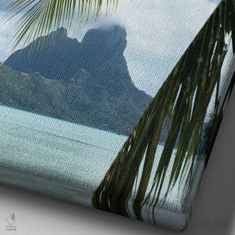 تابلو دکوراتیو Bora Bora, Society Islands, French Polynesia" - "درخت ن… اثر پانورامیک ایمجز - نمای نزدیک بافت بوم