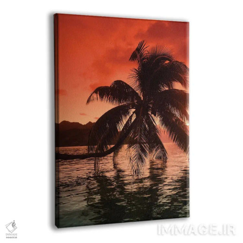 تابلو دکوراتیو Moorea, Tahiti, French Polynesia I" - "درختان نخل در هن… اثر پانورامیک ایمجز - نمای پرسپکتیو محصول