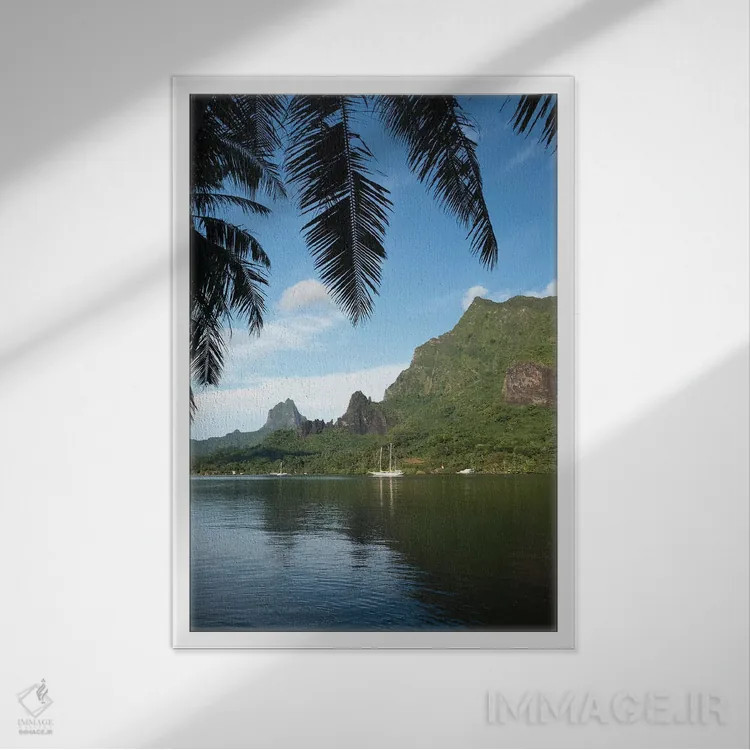 تابلو دکوراتیو Moorea, Tahiti, French Polynesia I" - "درخت نخل با قایق… اثر پانورامیک ایمجز - نمای قابدار سفید