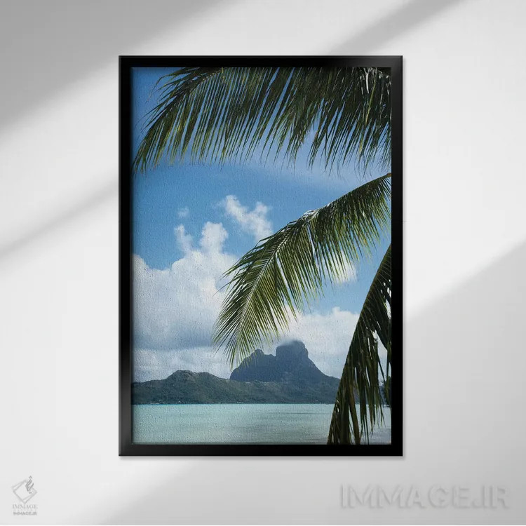 تابلو دکوراتیو Bora Bora, Society Islands, French Polynesia" - "درخت ن… اثر پانورامیک ایمجز - نمای قابدار مشکی